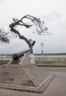 In 1847 Tlacotalpan was recognized for defending against US forces in the Mexican American War